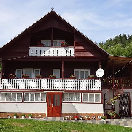 Hotel Pensiunea Daiana Albac Exterior foto