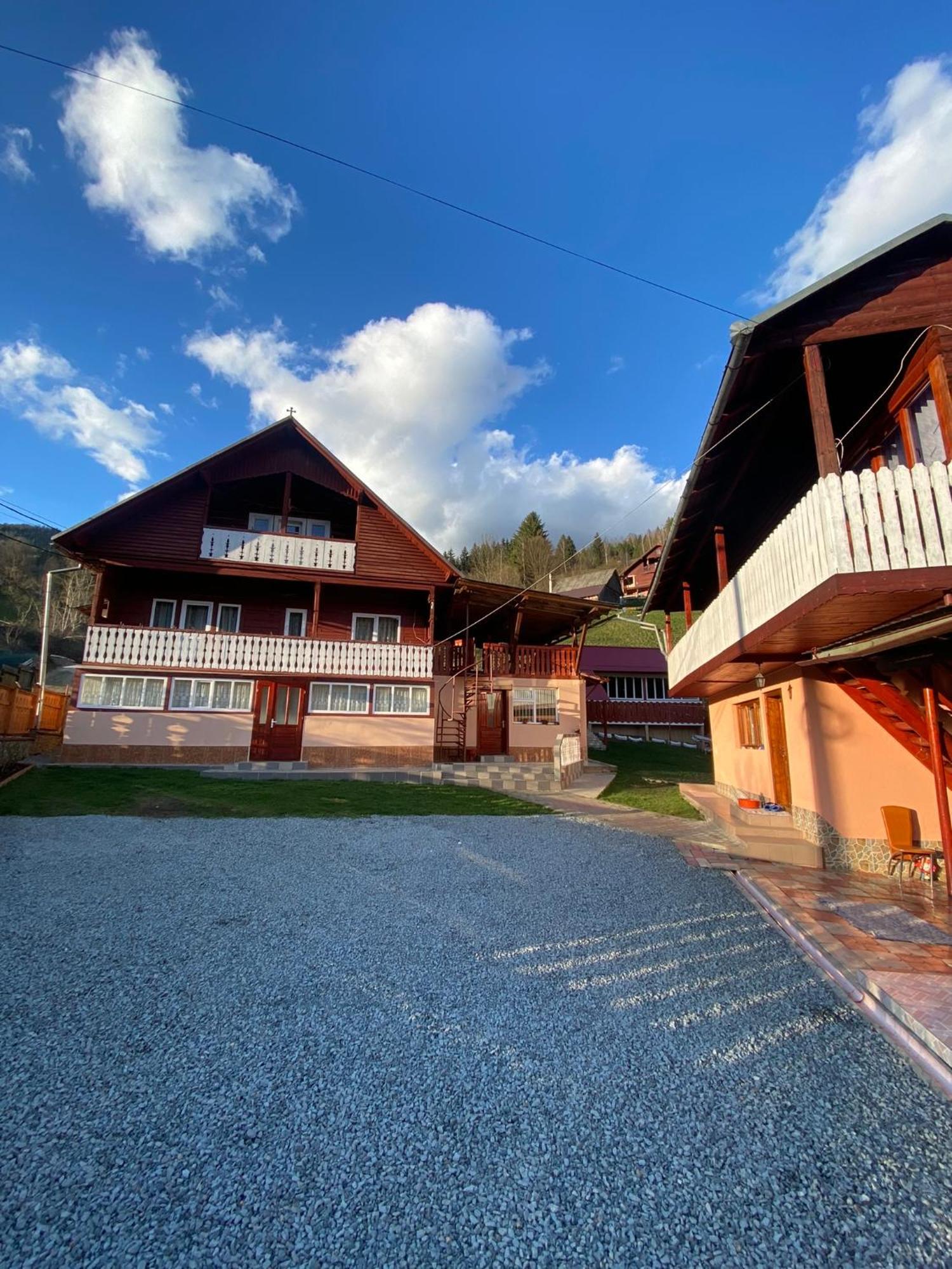 Pensiunea Daiana Albac Exterior foto