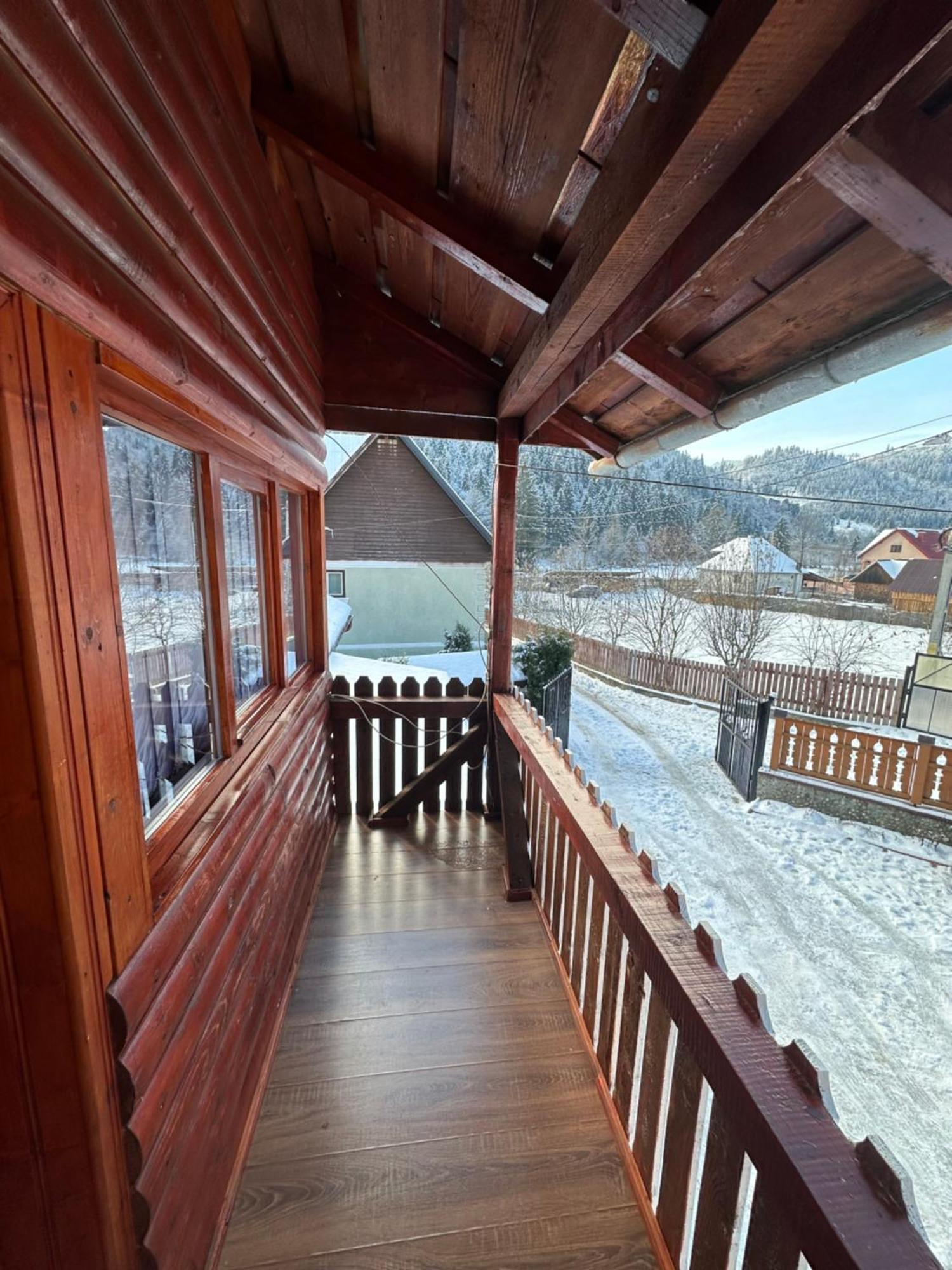 Pensiunea Daiana Albac Exterior foto