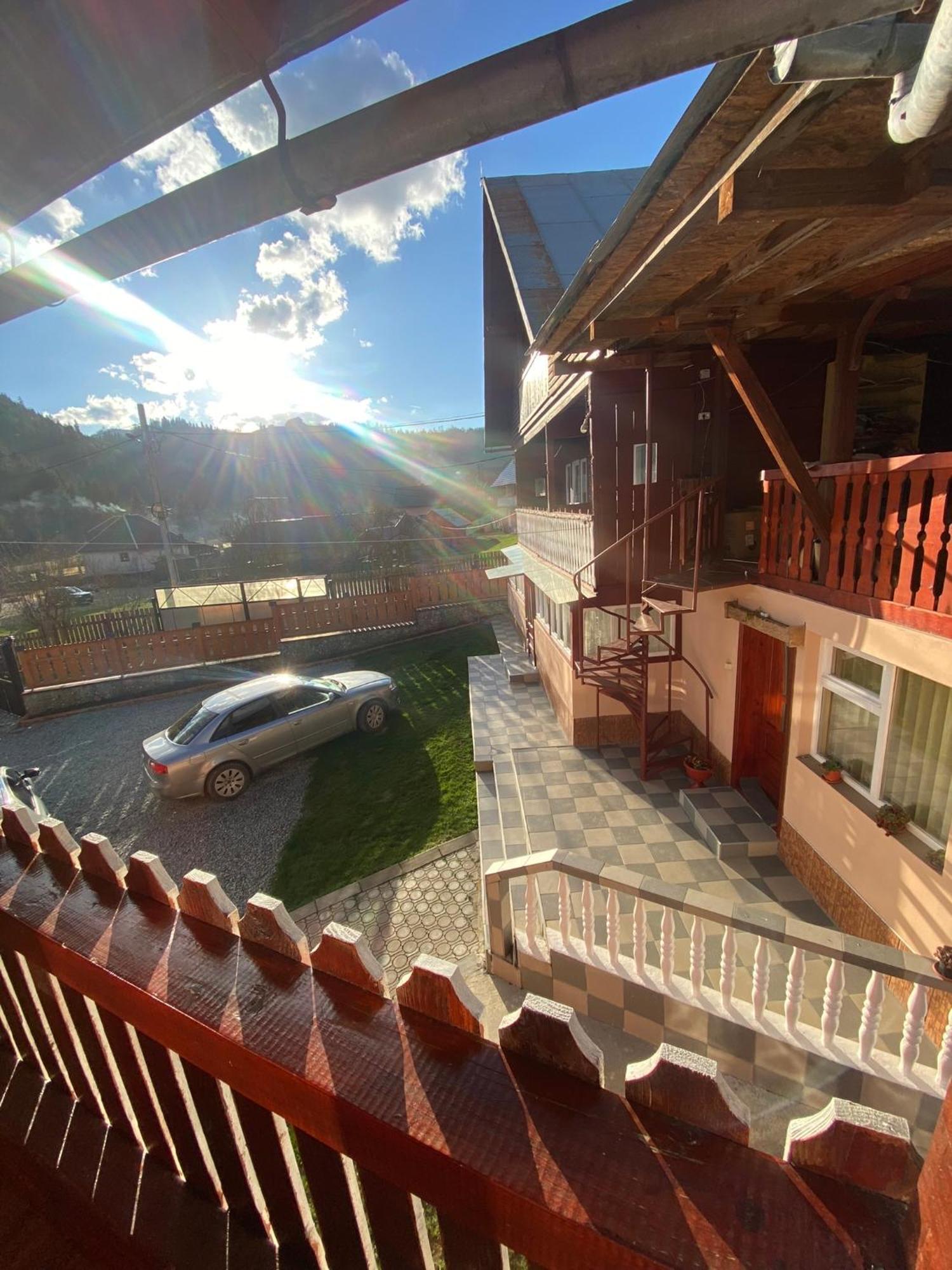 Pensiunea Daiana Albac Exterior foto