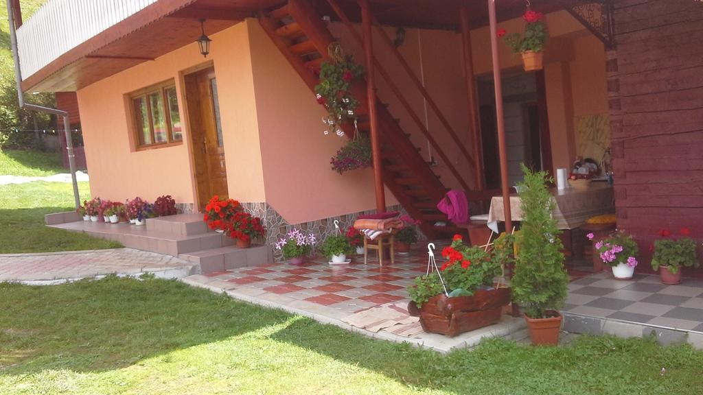 Hotel Pensiunea Daiana Albac Exterior foto