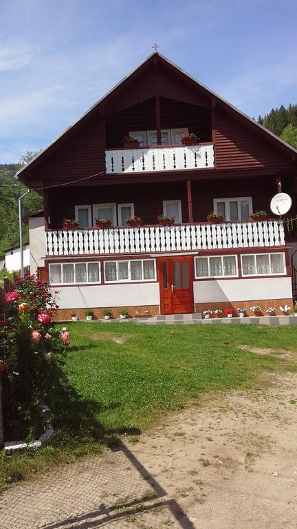 Hotel Pensiunea Daiana Albac Exterior foto